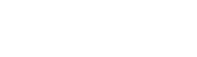 ООО Дебют